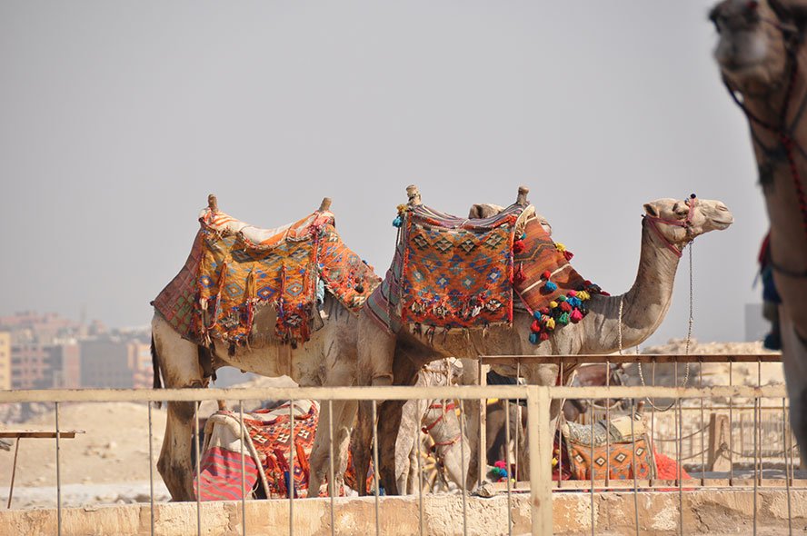 Old Cairo Even mausoleums in cemeteries are used as housing